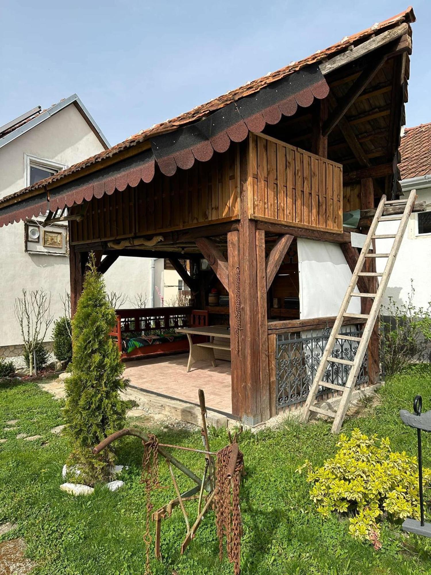 Апартаменти Casa Cezara Silvasu de Jos Екстер'єр фото